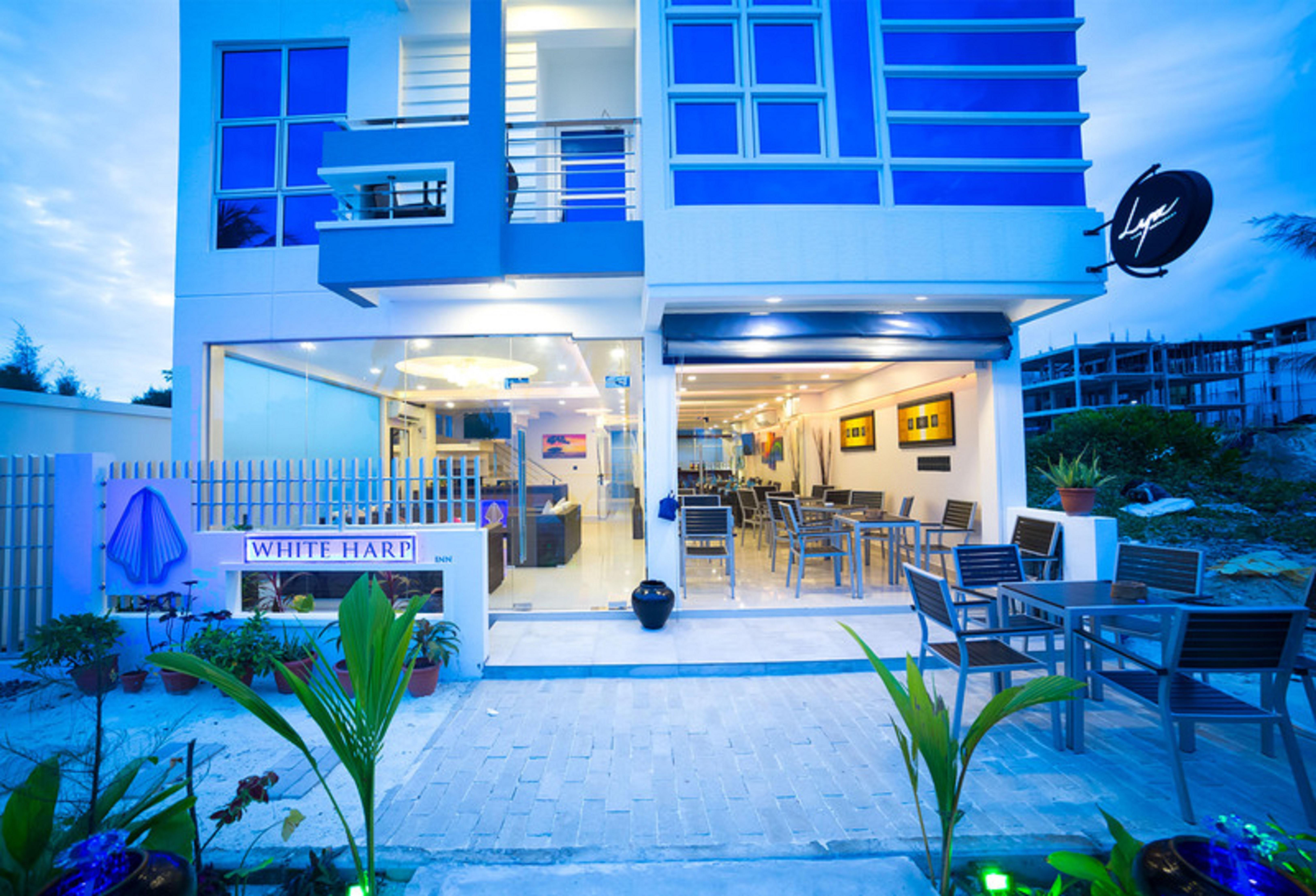 white harp beach guest house